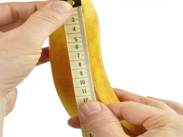 Taille du pénis qui peut être augmentée grâce à l’exercice.